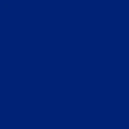 코드네임-Blue