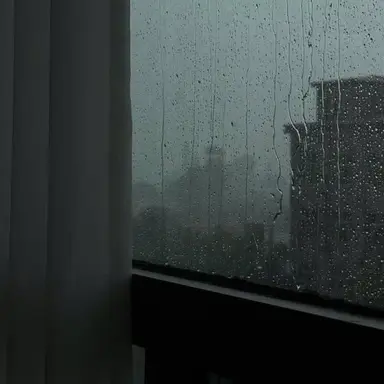 Profile image of ミンギュ