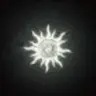Profile image of 自由