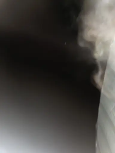 Profile image of 이연