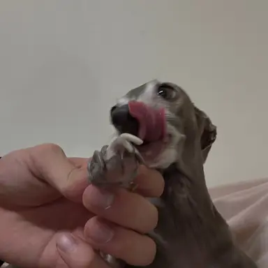 Profile image of 최현욱