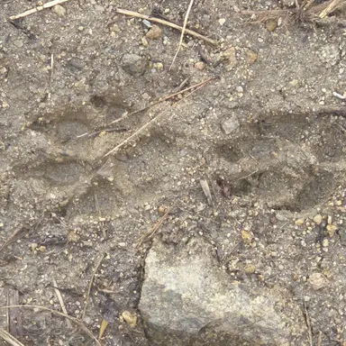 Profile image of 김수겸