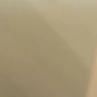 Profile image of 히도