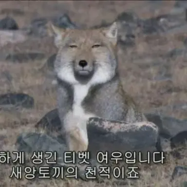 Profile image of 김여누