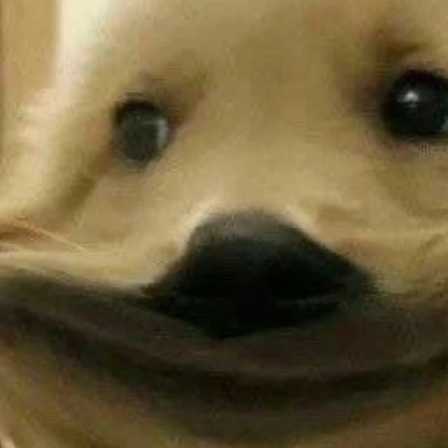 이하민