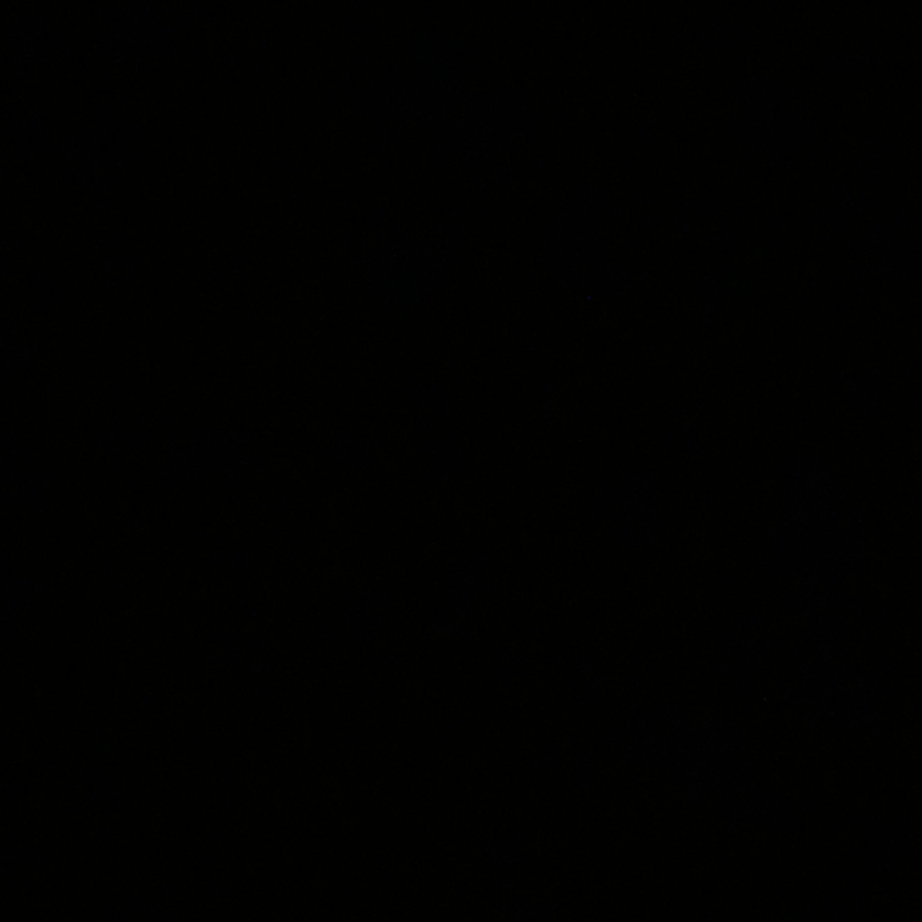 여동생을 놀리다니 대표 이미지