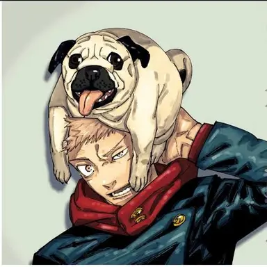 Profile image of 虎杖悠仁