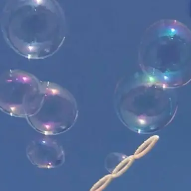 Profile image of 박유단