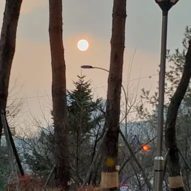 Profile image of 단체