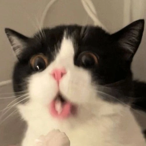 정ㅇ원