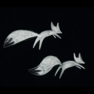 Profile image of 설아