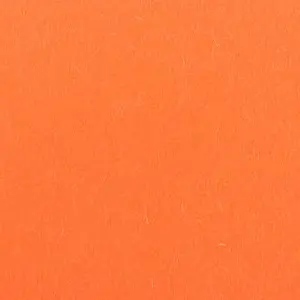 Profile image of 테드