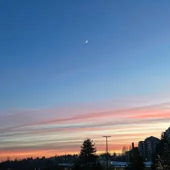 Profile image of 김ㅇㅎ