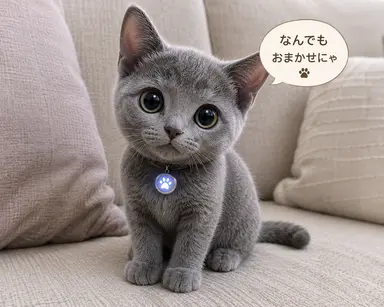 Profile image of にゃるる
