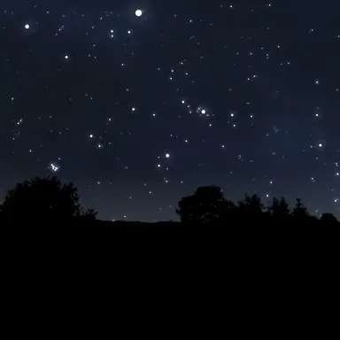 Profile image of 미은설