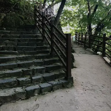 Profile image of 정공룡