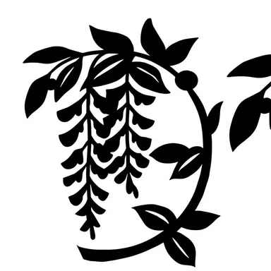 Profile image of 準構成員