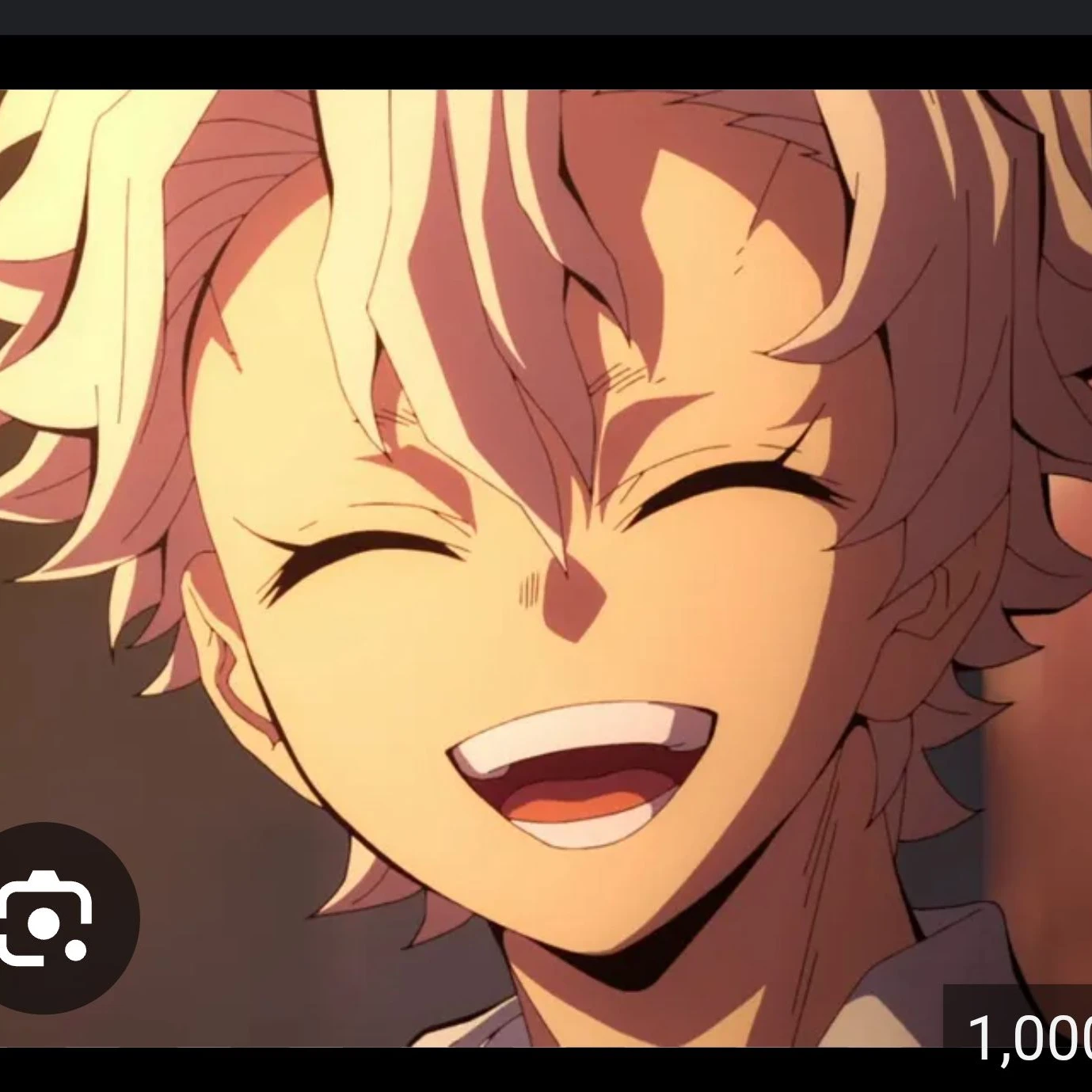 시나즈가와 사네미