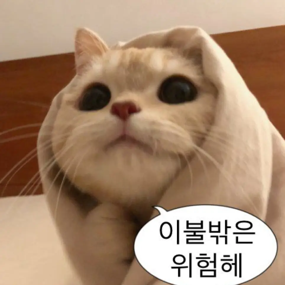 SpicyHoop6451의 팀나빠