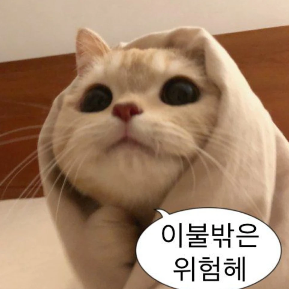 팀나빠
