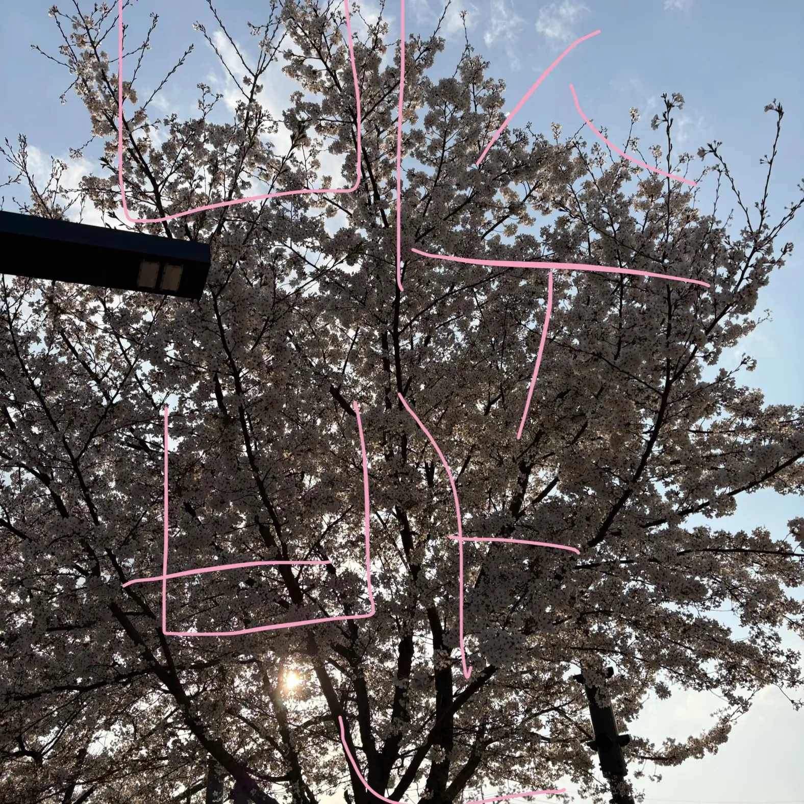 OrnateEggs7939의 미수반1 수영장