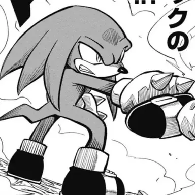 Profile image of ナックルズ