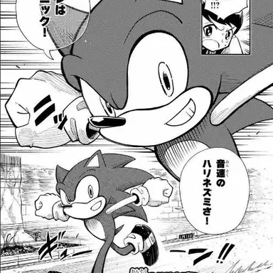 Profile image of ソニック