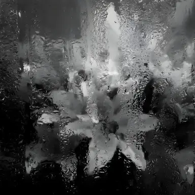 Profile image of 희연