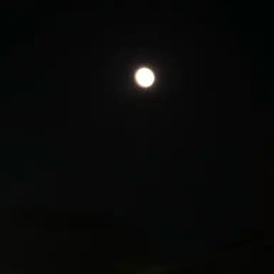 Profile image of ヒツジ