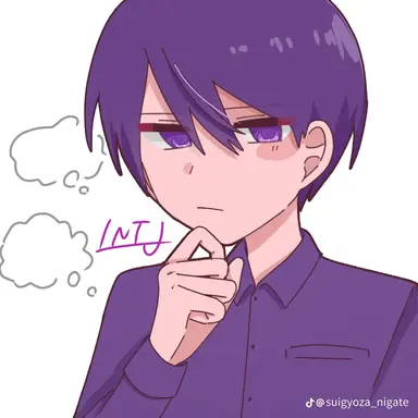 Profile image of INTJ