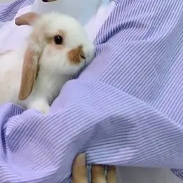 Profile image of 이민호