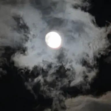 Profile image of MJH