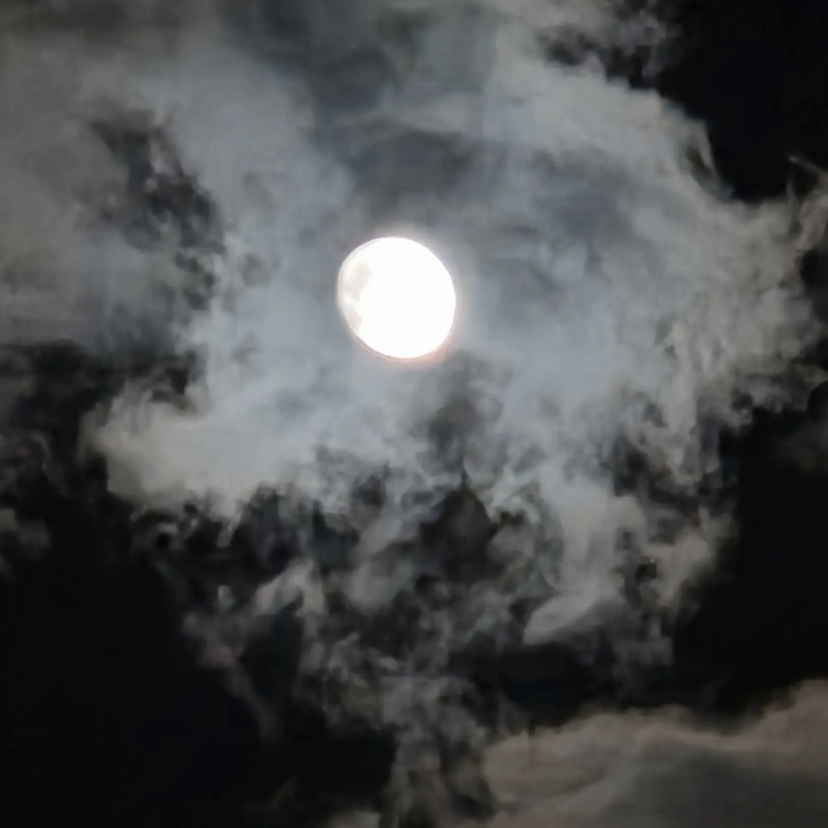 SilverSlide3447의 내 아내를죽인 너.