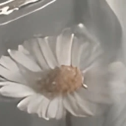 시나즈가와 사네미