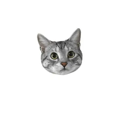 Profile image of チハヤ