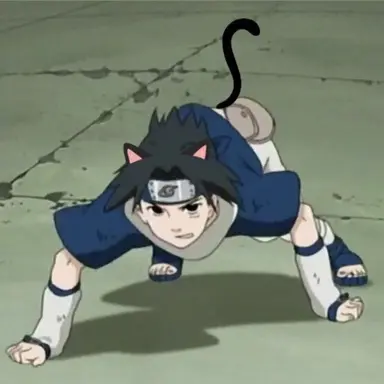 Profile image of サスケ