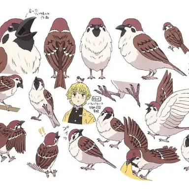 Profile image of 짹타로