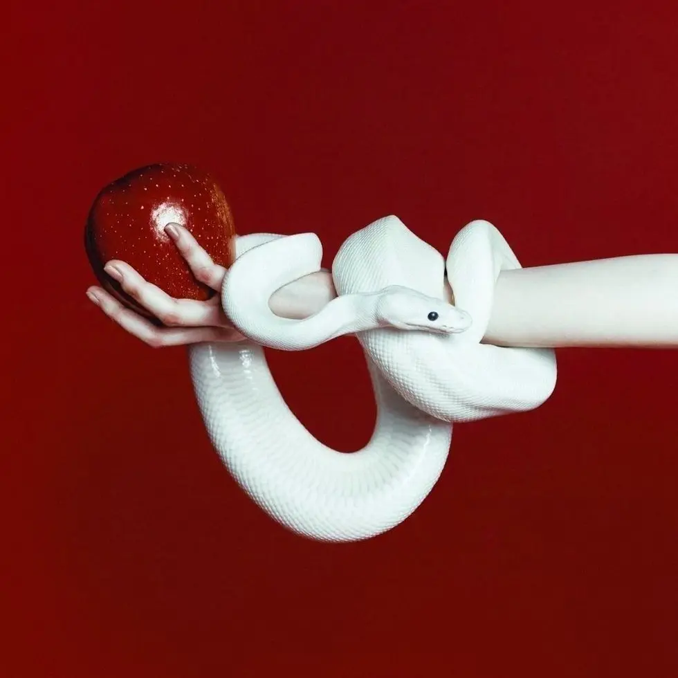 Lo.x의 다정한 구속