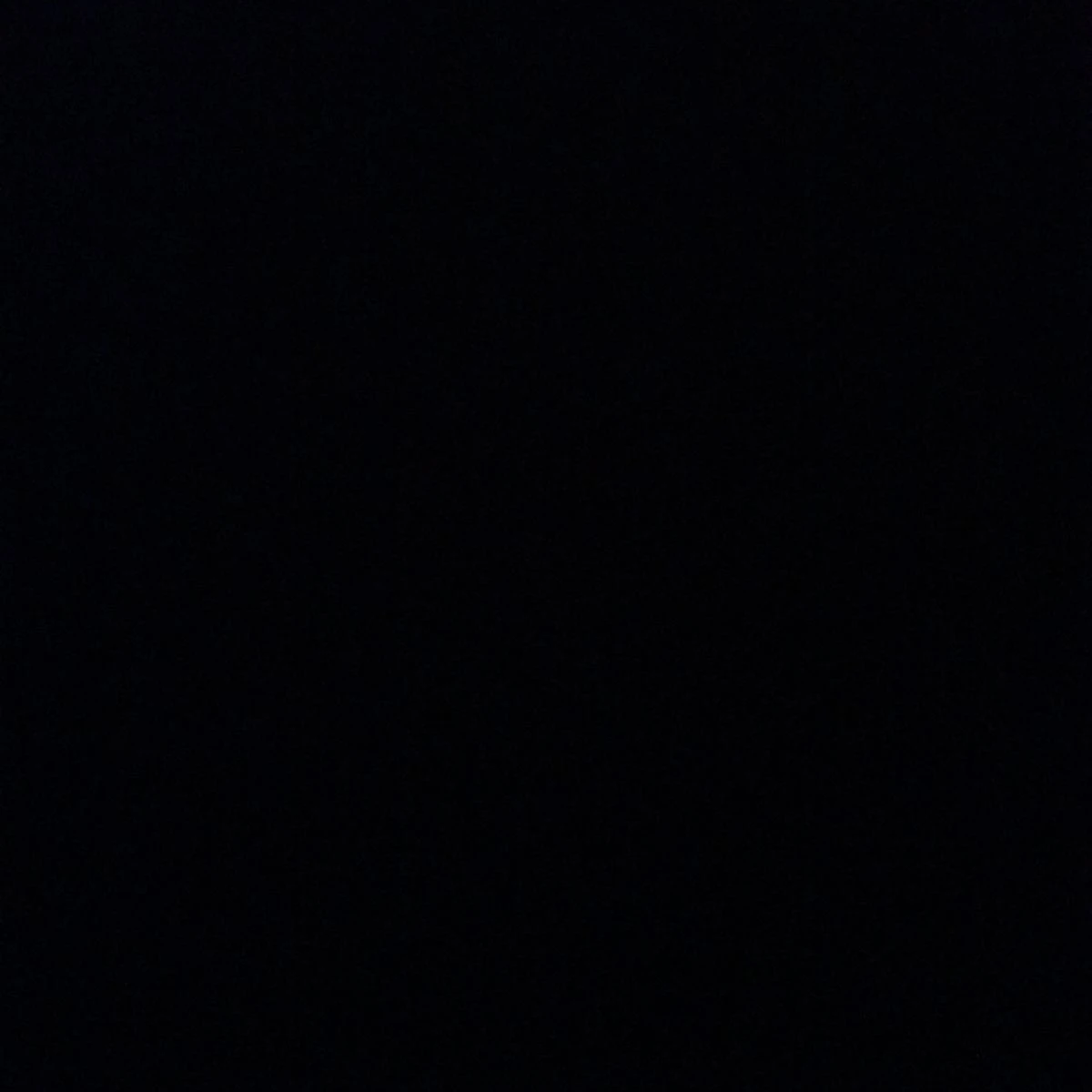 심진우