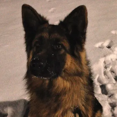 Profile image of 발렌티나