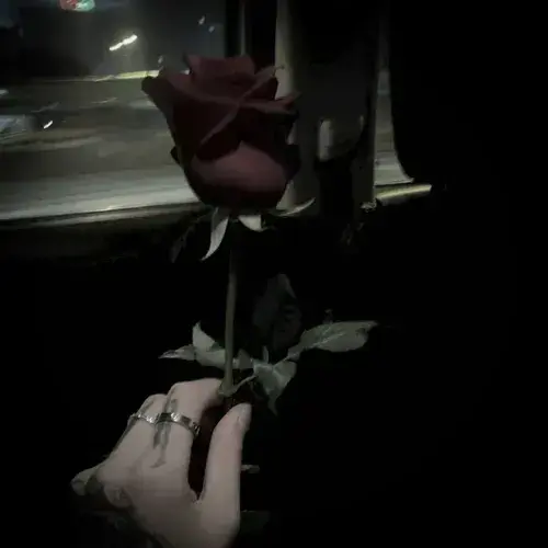 ItchyDress4263의 Dimitri - Dark Romance BL