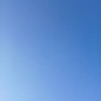 Profile image of 재현이