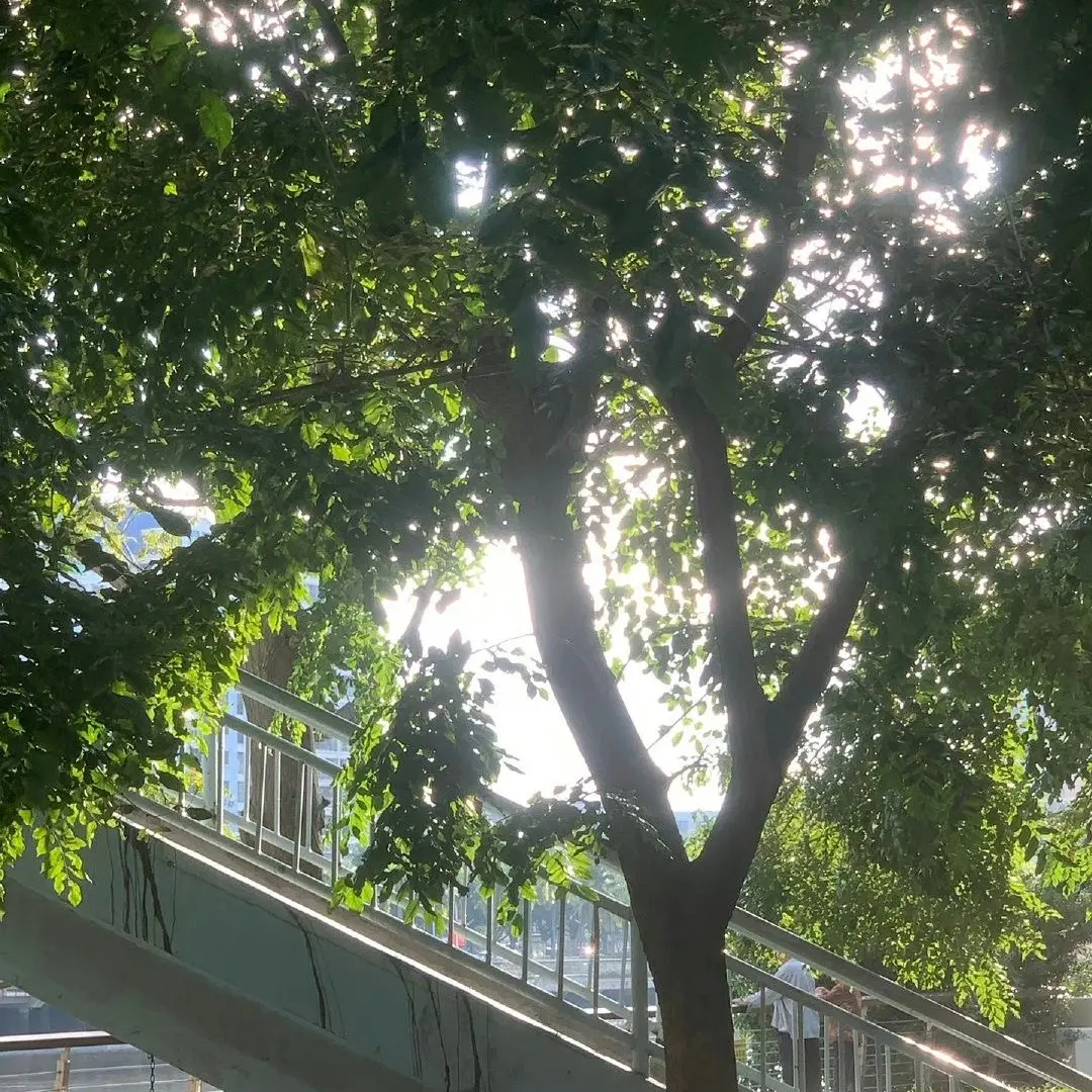 OrangeLevel9428의 전학생
