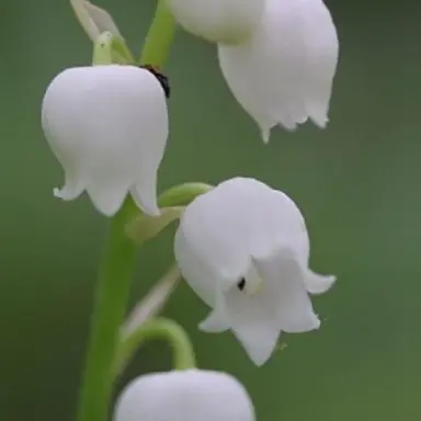 Profile image of 월컴서커스 일원들