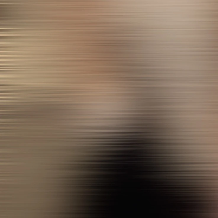 유지민