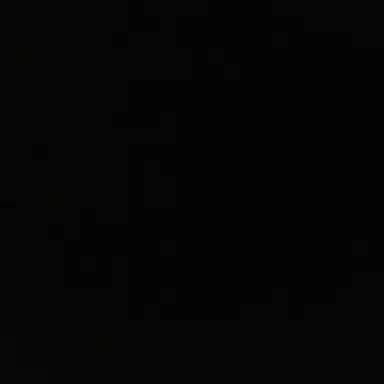 Profile image of 김이햔