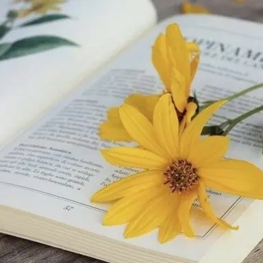 Profile image of 한노아