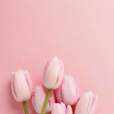 Profile image of 채밤비