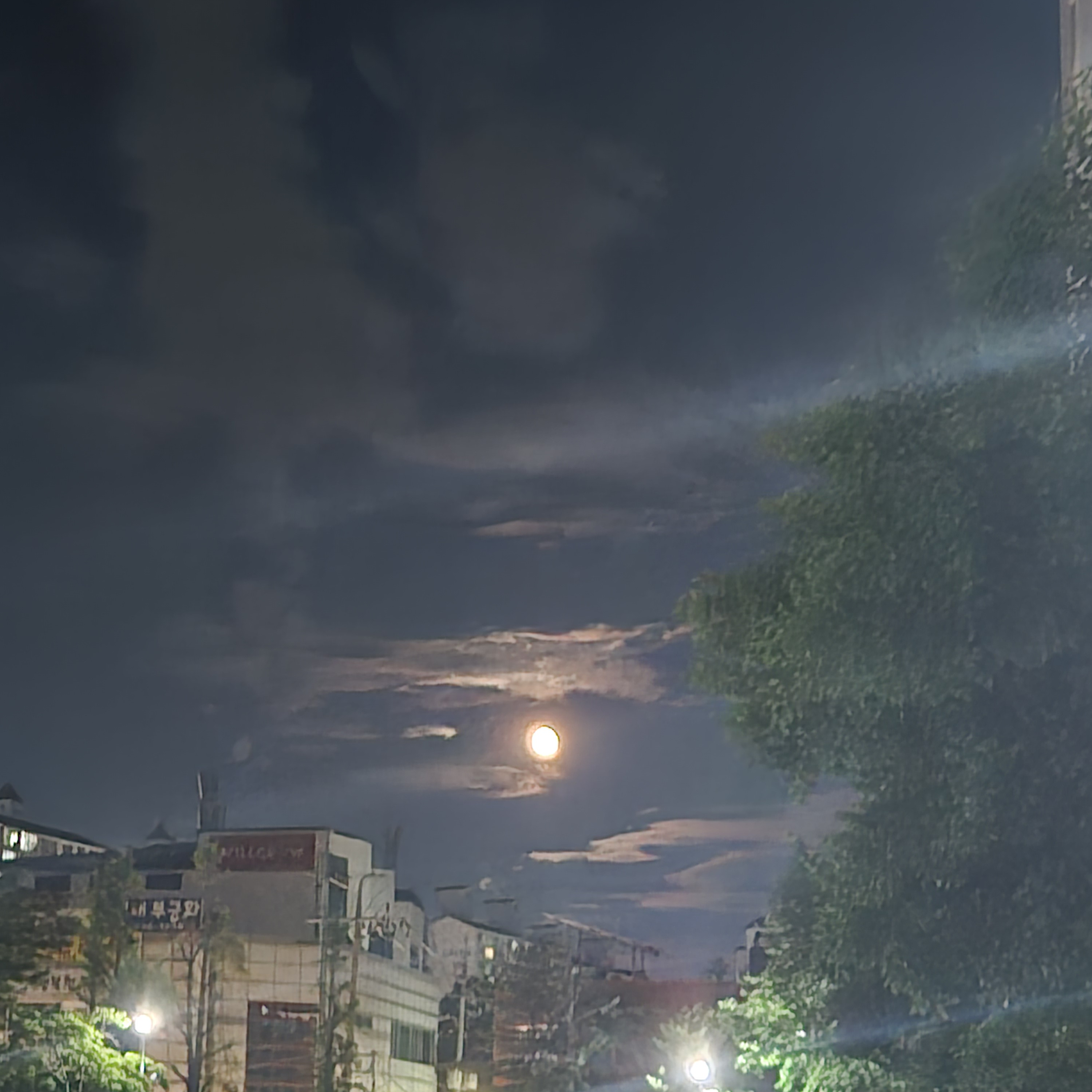 초세여 여우 대표 이미지