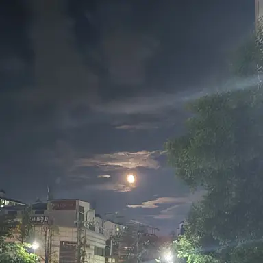 Profile image of 각별